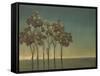 Arbor Grove-Terri Burris-Framed Stretched Canvas