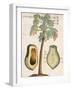 Arbor Papaya (Papaya Tree)-Michael Boym-Framed Giclee Print