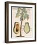 Arbor Papaya (Papaya Tree)-Michael Boym-Framed Giclee Print