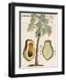 Arbor Papaya (Papaya Tree)-Michael Boym-Framed Giclee Print