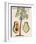 Arbor Papaya (Papaya Tree)-Michael Boym-Framed Giclee Print