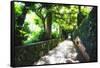 Arbor Path, Ravello, Italy-George Oze-Framed Stretched Canvas