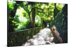 Arbor Path, Ravello, Italy-George Oze-Stretched Canvas