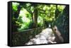 Arbor Path, Ravello, Italy-George Oze-Framed Stretched Canvas