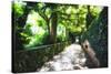 Arbor Path, Ravello, Italy-George Oze-Stretched Canvas