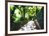 Arbor Path, Ravello, Italy-George Oze-Framed Photographic Print