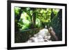 Arbor Path, Ravello, Italy-George Oze-Framed Photographic Print