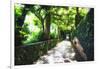 Arbor Path, Ravello, Italy-George Oze-Framed Photographic Print