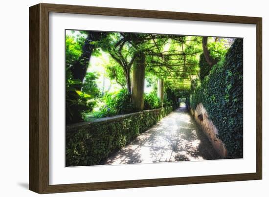 Arbor Path, Ravello, Italy-George Oze-Framed Photographic Print