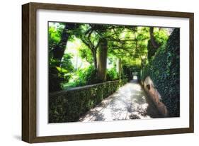 Arbor Path, Ravello, Italy-George Oze-Framed Photographic Print