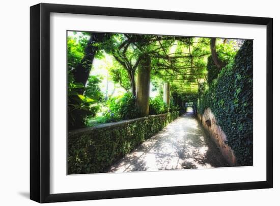 Arbor Path, Ravello, Italy-George Oze-Framed Photographic Print