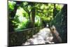 Arbor Path, Ravello, Italy-George Oze-Mounted Photographic Print