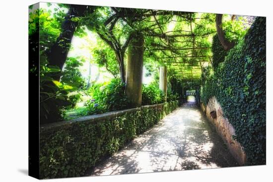 Arbor Path, Ravello, Italy-George Oze-Stretched Canvas