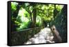 Arbor Path, Ravello, Italy-George Oze-Framed Stretched Canvas