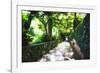 Arbor Path, Ravello, Italy-George Oze-Framed Photographic Print