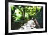 Arbor Path, Ravello, Italy-George Oze-Framed Photographic Print