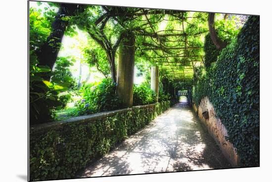 Arbor Path, Ravello, Italy-George Oze-Mounted Photographic Print