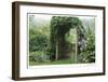 Arbor-Stacy Bass-Framed Giclee Print