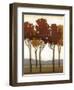 Arboreal Grove I-Norman Wyatt Jr.-Framed Art Print