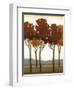 Arboreal Grove I-Norman Wyatt Jr.-Framed Art Print