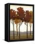 Arboreal Grove I-Norman Wyatt Jr.-Framed Stretched Canvas