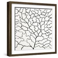 Arboreal Jigsaw-Brent Abe-Framed Giclee Print
