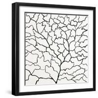 Arboreal Jigsaw-Brent Abe-Framed Giclee Print