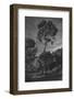 arbores-Pepa Aston-Framed Photographic Print