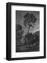 arbores-Pepa Aston-Framed Photographic Print