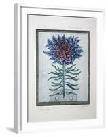 Arboretum - Ramage-Tighe O'Donoghue-Framed Collectable Print