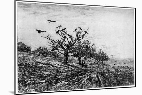 Arbre a Corbeaux, 1840-1875-Charles François Daubigny-Mounted Giclee Print