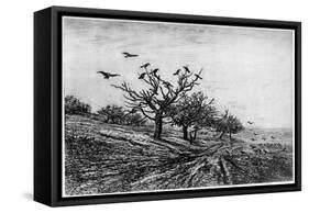 Arbre a Corbeaux, 1840-1875-Charles François Daubigny-Framed Stretched Canvas