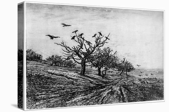 Arbre a Corbeaux, 1840-1875-Charles François Daubigny-Stretched Canvas