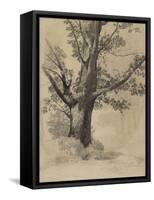 Arbre-Odilon Redon-Framed Stretched Canvas