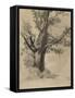 Arbre-Odilon Redon-Framed Stretched Canvas