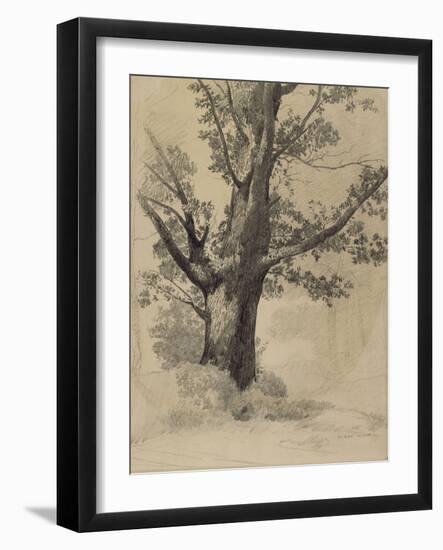 Arbre-Odilon Redon-Framed Giclee Print