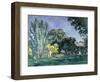 Arbres au Jas de Bouffan, c.1875-6-Paul C?zanne-Framed Giclee Print