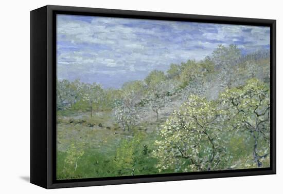 Arbres En Fleurs-Claude Monet-Framed Stretched Canvas