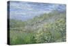 Arbres En Fleurs-Claude Monet-Stretched Canvas