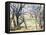 Arbres et maisons-Paul Cézanne-Framed Stretched Canvas