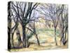Arbres et maisons-Paul Cézanne-Stretched Canvas