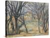 Arbres et maisons-Paul Cézanne-Stretched Canvas