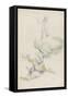 Arbres et rochers-Paul Cézanne-Framed Stretched Canvas