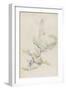 Arbres et rochers-Paul Cézanne-Framed Giclee Print