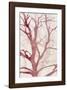 Arbres (Rouge), 2015-Marie-Cecile Clause-Framed Giclee Print