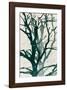 Arbres (Vert), 2015-Marie-Cecile Clause-Framed Giclee Print