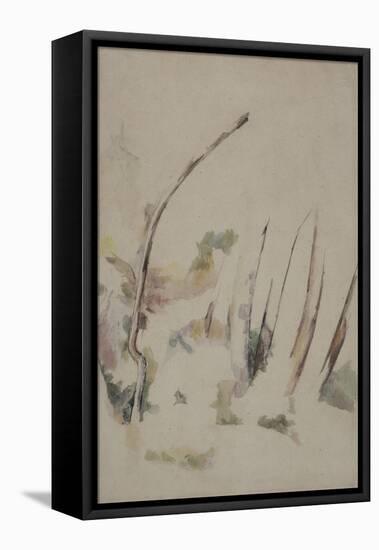 Arbres-Paul Cézanne-Framed Stretched Canvas