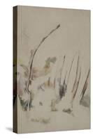 Arbres-Paul Cézanne-Stretched Canvas