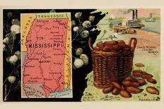 Mississippi-Arbuckle Brothers-Art Print