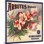 Arbutus Brand - California - Citrus Crate Label-Lantern Press-Mounted Art Print